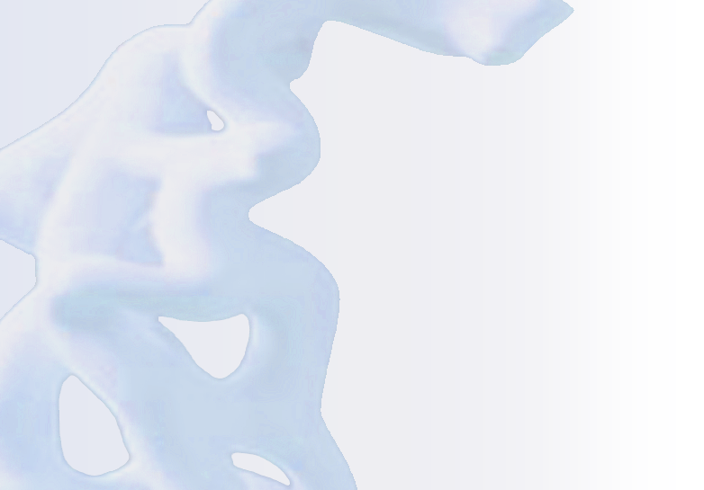 Image4